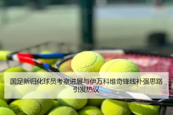 国足新归化球员考察进展与伊万科维奇锋线补强思路引发热议